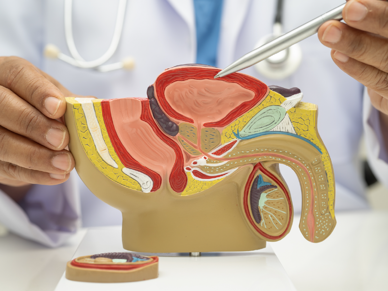 Specialised Andrology Medical Team in Valencia